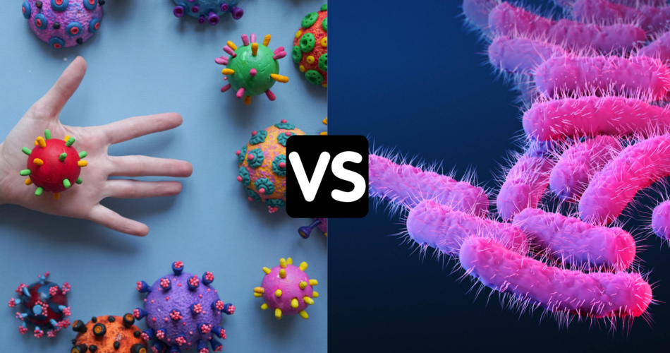 تفاوت بین باکتری و ویروس چیست؟