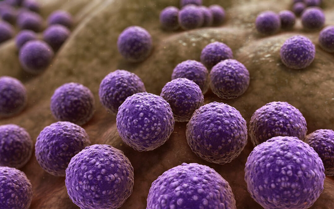 WHO استفاده گسترده از آنتی بیوتیک ها را در بیماران بستری با کووید 19 گزارش می دهد